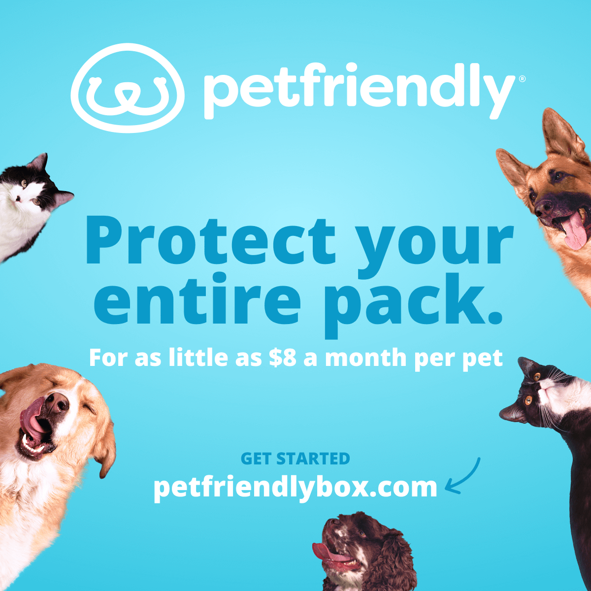 Protect your entire pack with MultiPet Pricing.