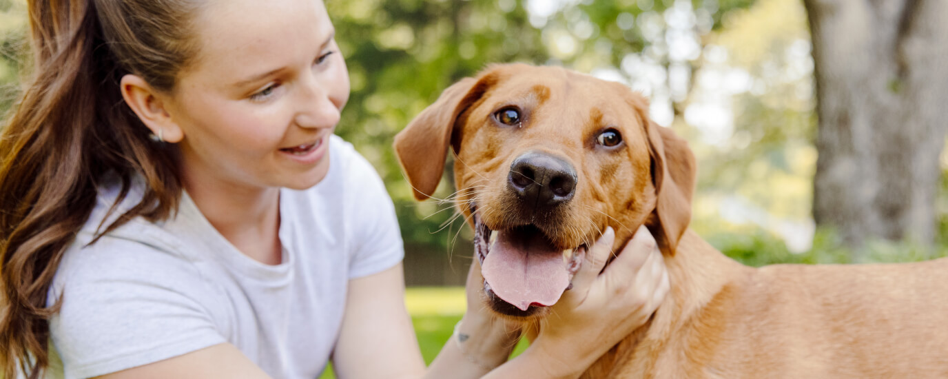 Does My Dog Need Heartworm Prevention: 13 Myths and Facts