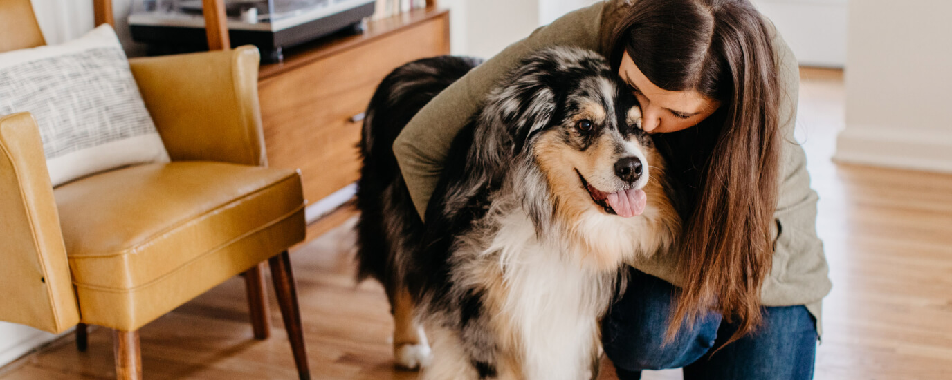 are mineral blocks good for dogs