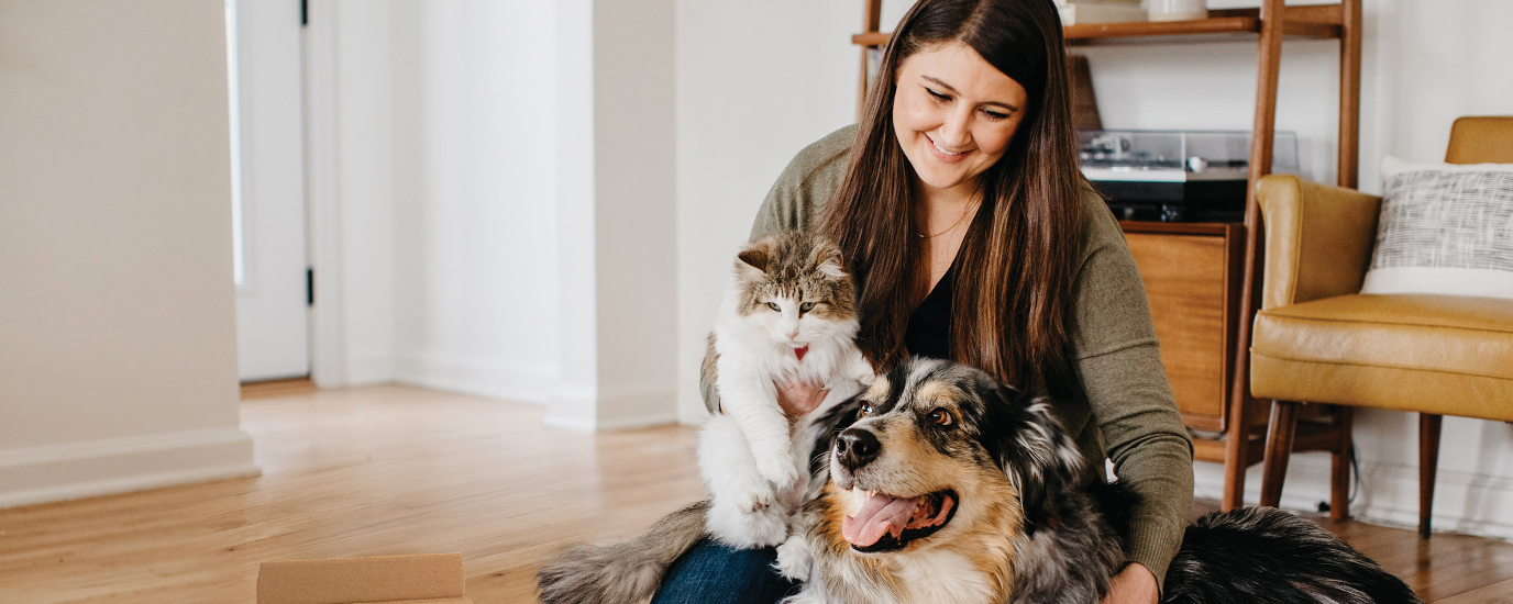 When and How Does Flea Medicine Work on Dogs and Cats