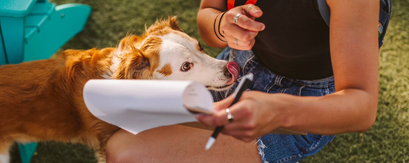 New Dog Checklist: 15 Tips for New Dog Owners
