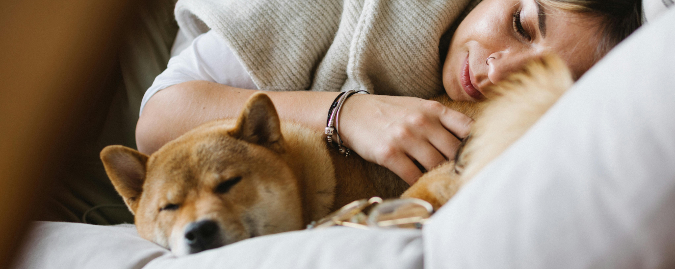 Pain Relief for Dogs: 6 Causes and Solutions for Pet Parents