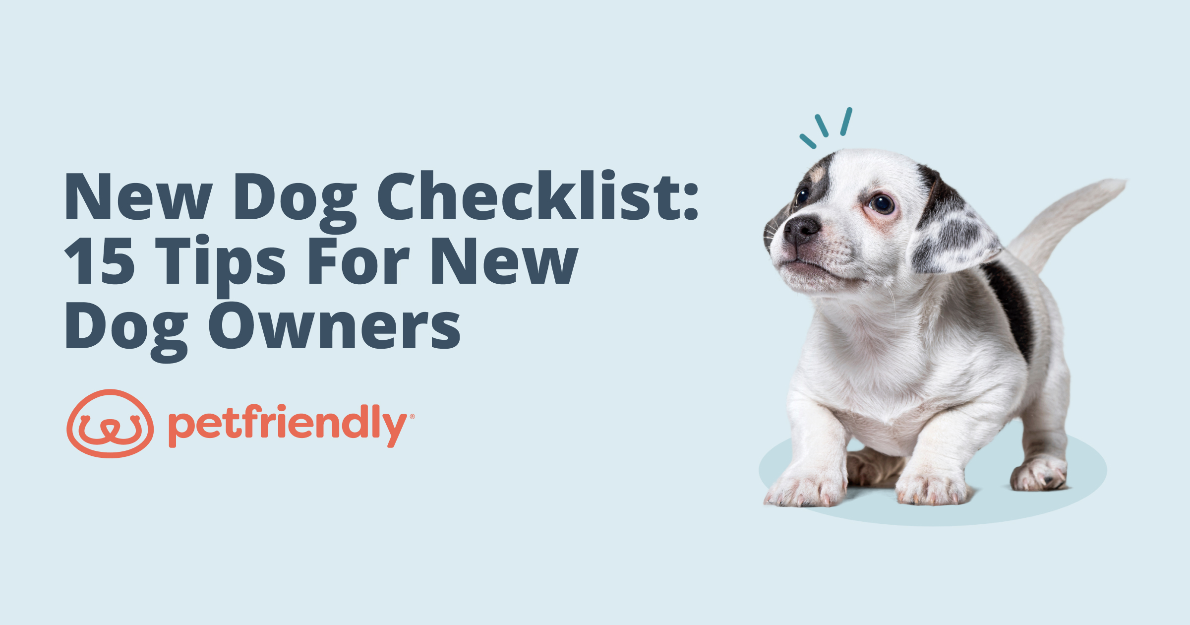 New Dog Owner's Guide  Tips for First-Time Dog & Puppy Owners
