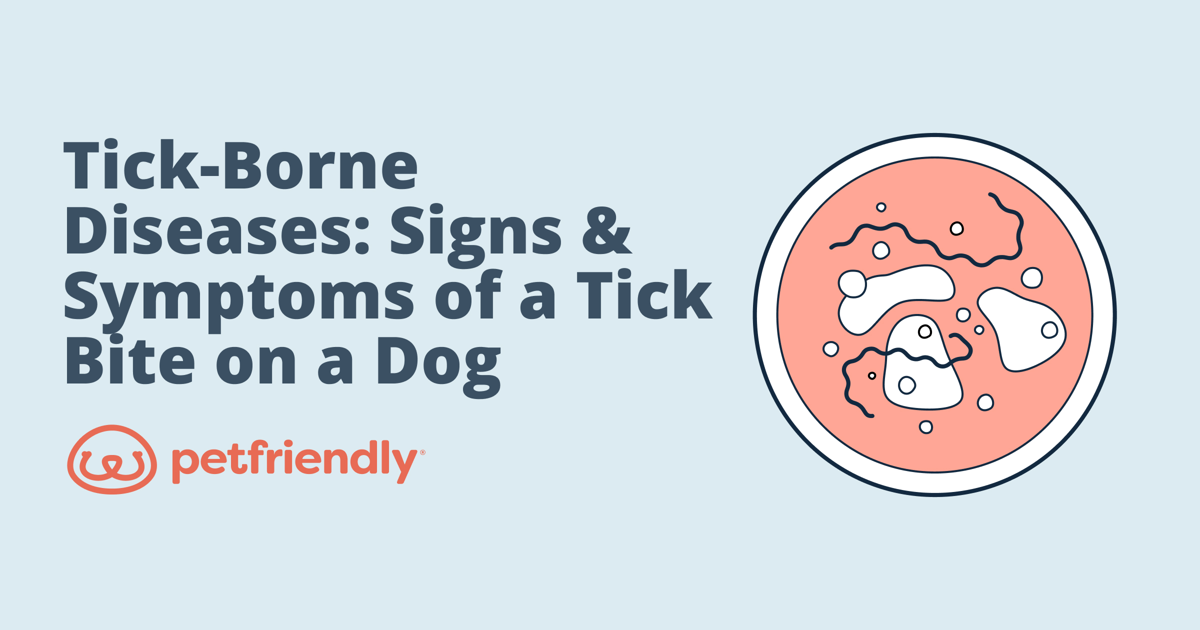 How To Treat A Tick Bite On A Dog And Avoid Disease