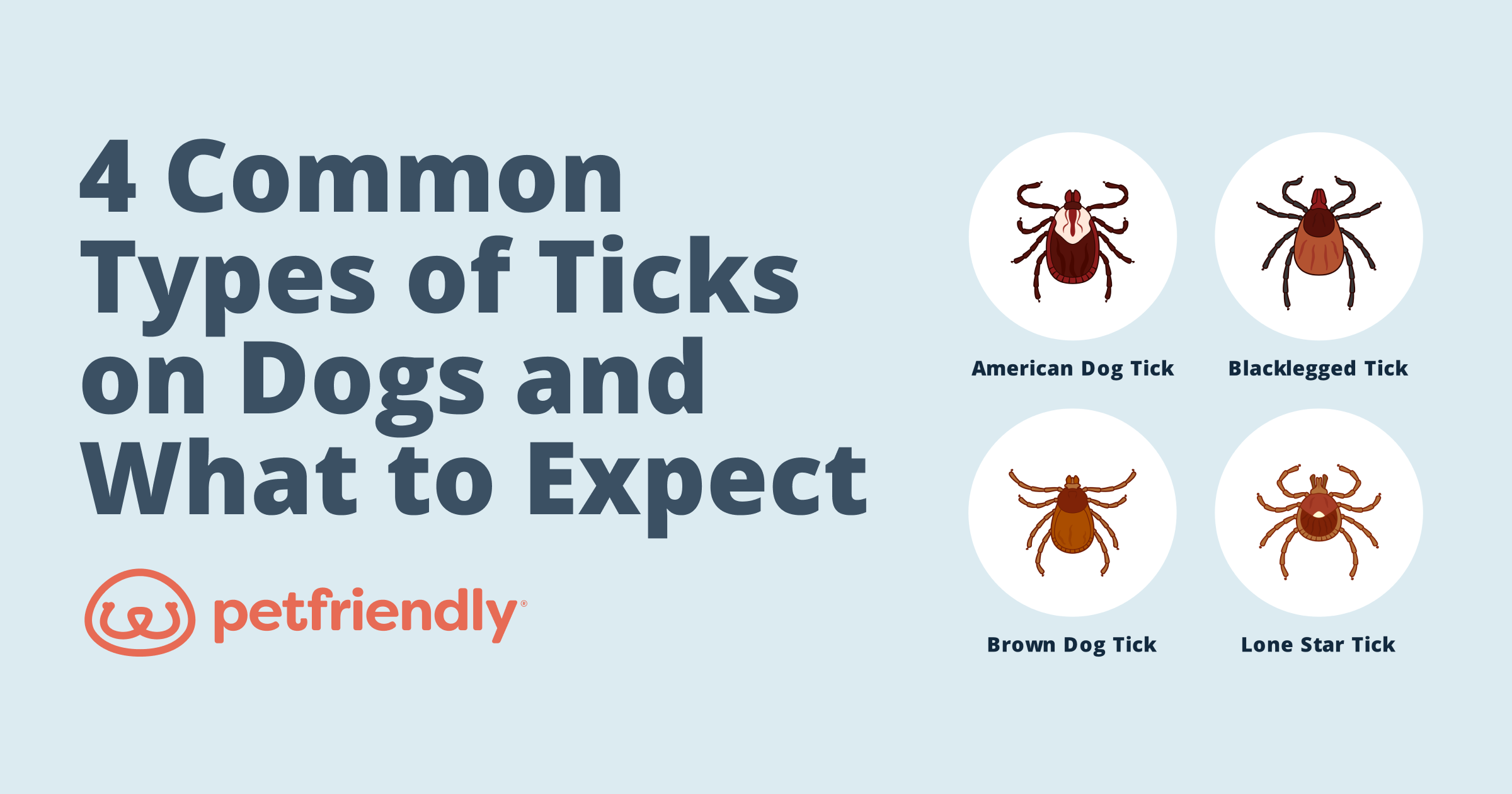 Types Of Ticks On Dogs Og 