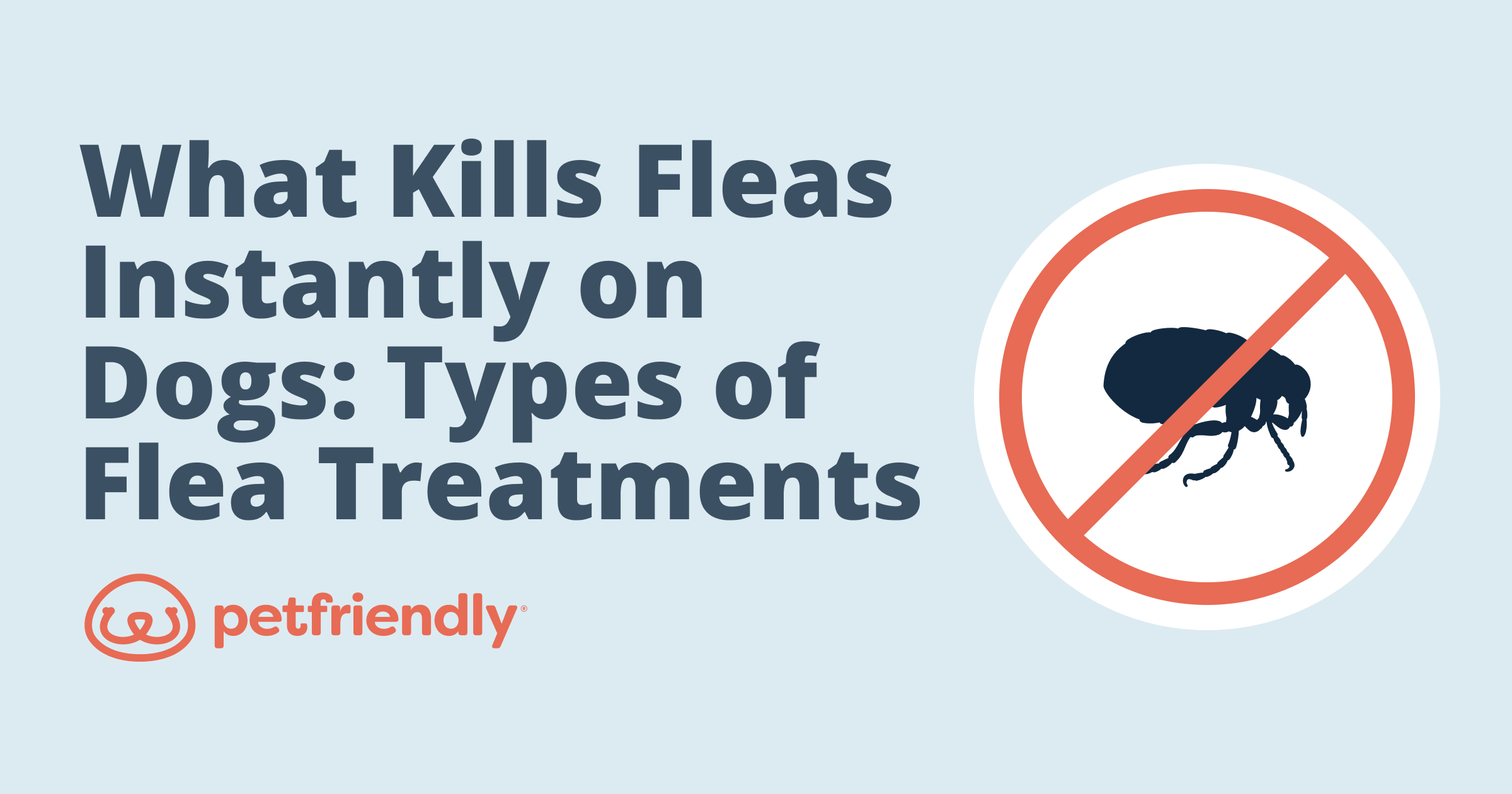 What Kills Fleas Instantly on Dogs Types of Flea Treatments