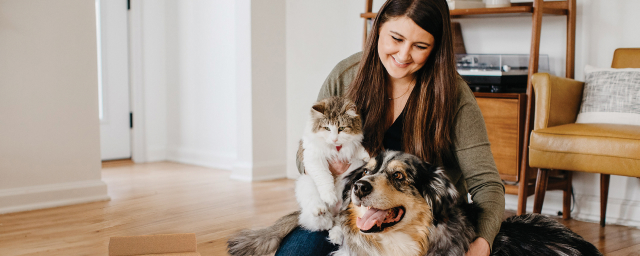 When and How Does Flea Medicine Work on Dogs and Cats