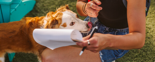 New Dog Checklist: 15 Tips for New Dog Owners